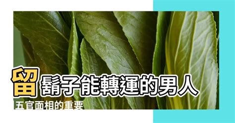 留鬍子招財|留鬍鬚的面相特徵